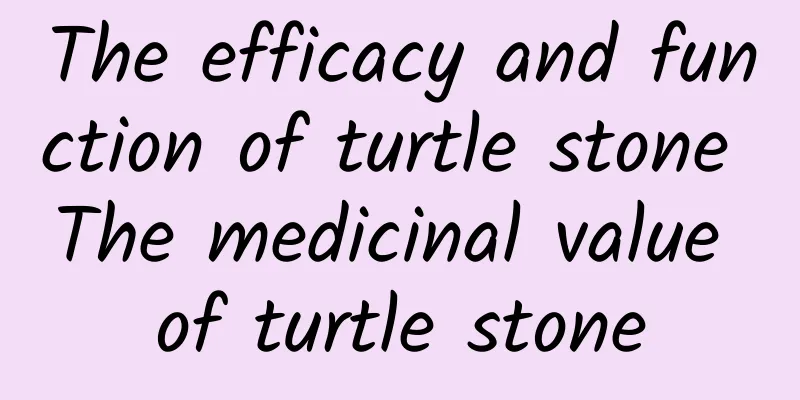 The efficacy and function of turtle stone The medicinal value of turtle stone