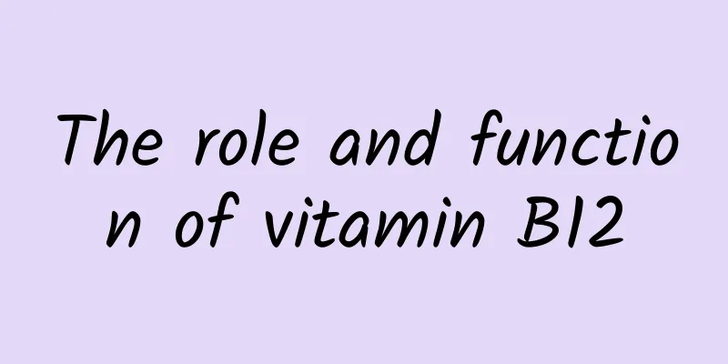 The role and function of vitamin B12