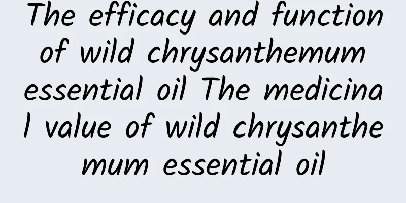 The efficacy and function of wild chrysanthemum essential oil The medicinal value of wild chrysanthemum essential oil