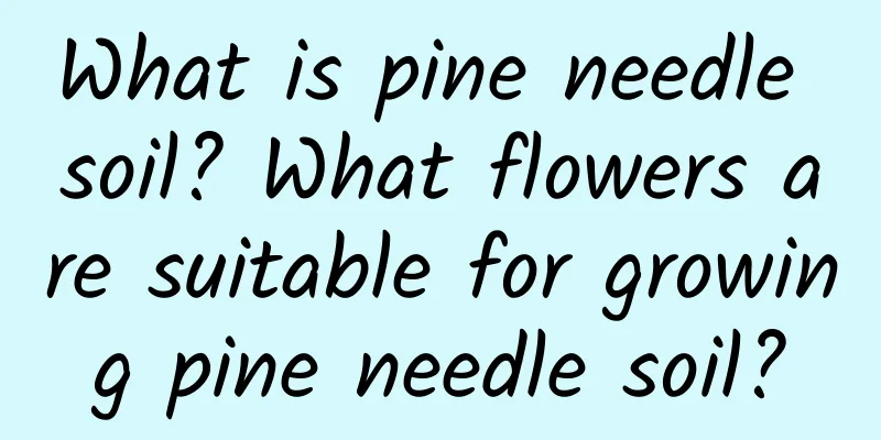 What is pine needle soil? What flowers are suitable for growing pine needle soil?