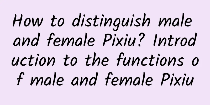 How to distinguish male and female Pixiu? Introduction to the functions of male and female Pixiu