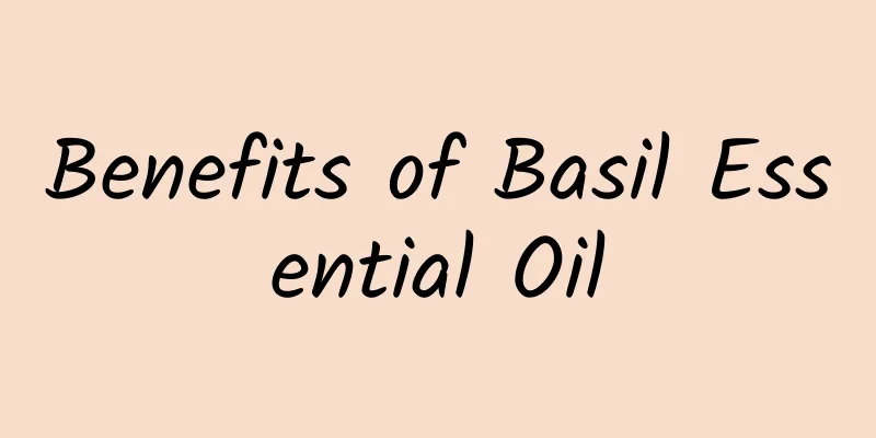 Benefits of Basil Essential Oil