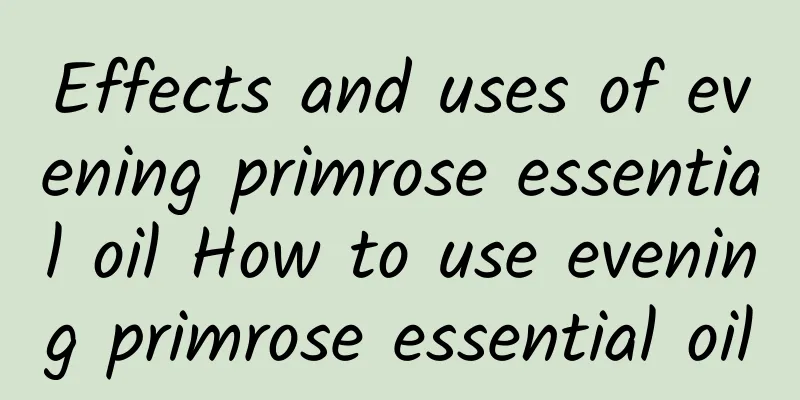 Effects and uses of evening primrose essential oil How to use evening primrose essential oil