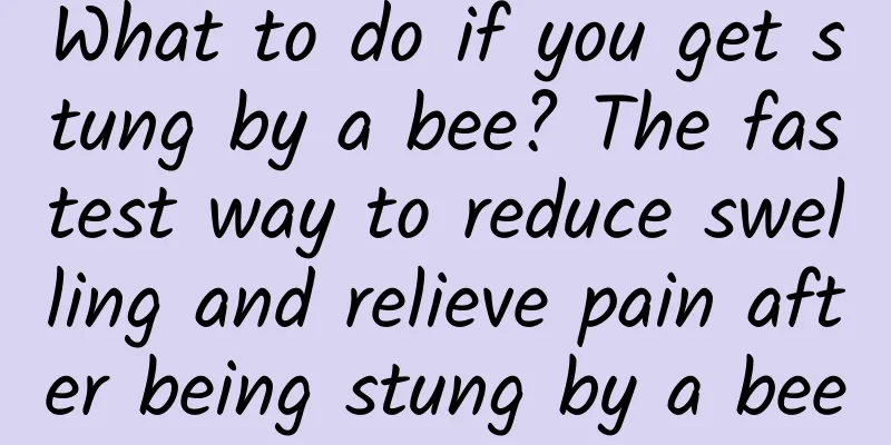 What to do if you get stung by a bee? The fastest way to reduce swelling and relieve pain after being stung by a bee