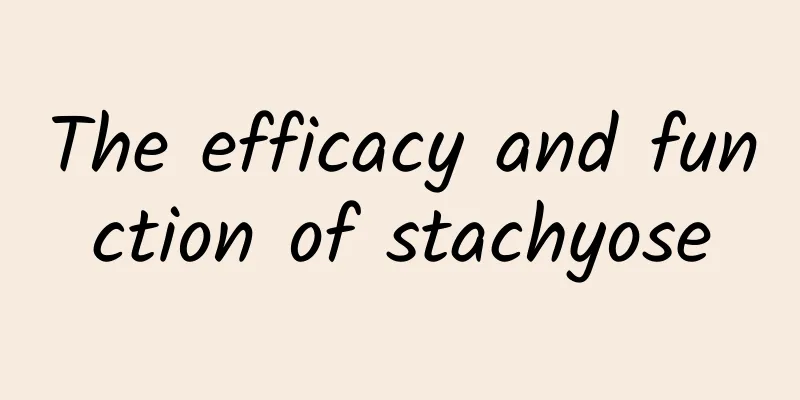 The efficacy and function of stachyose