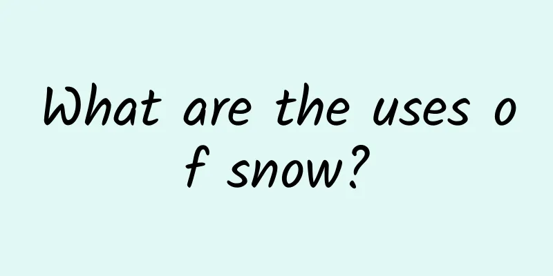 What are the uses of snow?