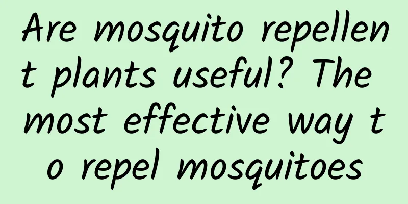 Are mosquito repellent plants useful? The most effective way to repel mosquitoes