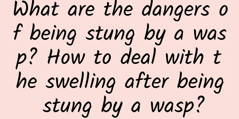 What are the dangers of being stung by a wasp? How to deal with the swelling after being stung by a wasp?