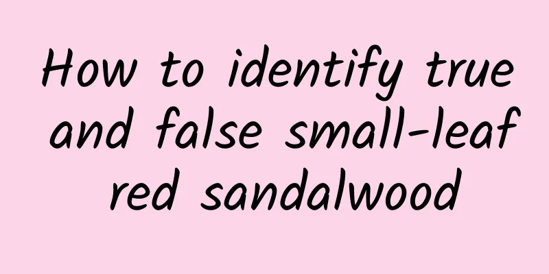 How to identify true and false small-leaf red sandalwood