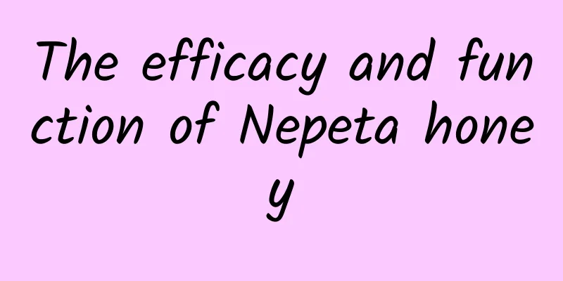 The efficacy and function of Nepeta honey