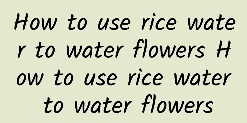 How to use rice water to water flowers How to use rice water to water flowers