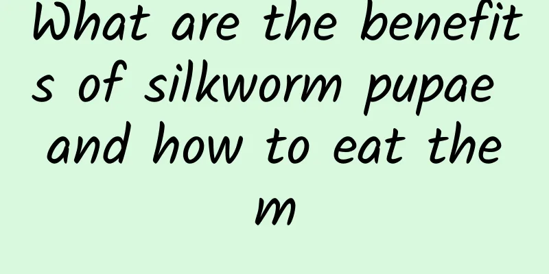 What are the benefits of silkworm pupae and how to eat them