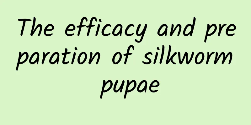 The efficacy and preparation of silkworm pupae