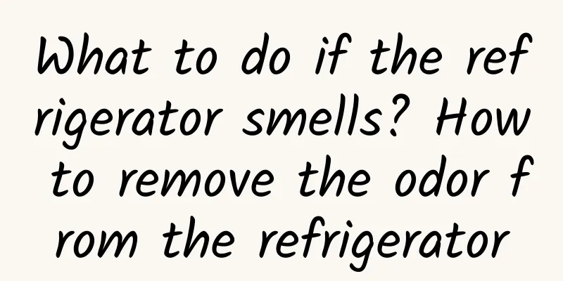 What to do if the refrigerator smells? How to remove the odor from the refrigerator