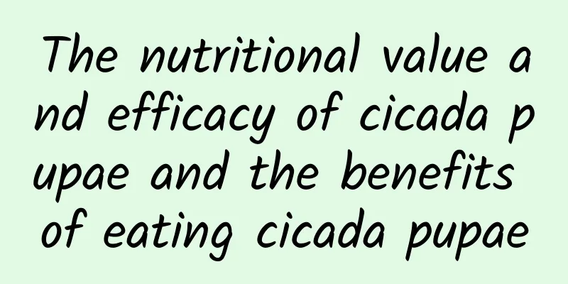 The nutritional value and efficacy of cicada pupae and the benefits of eating cicada pupae