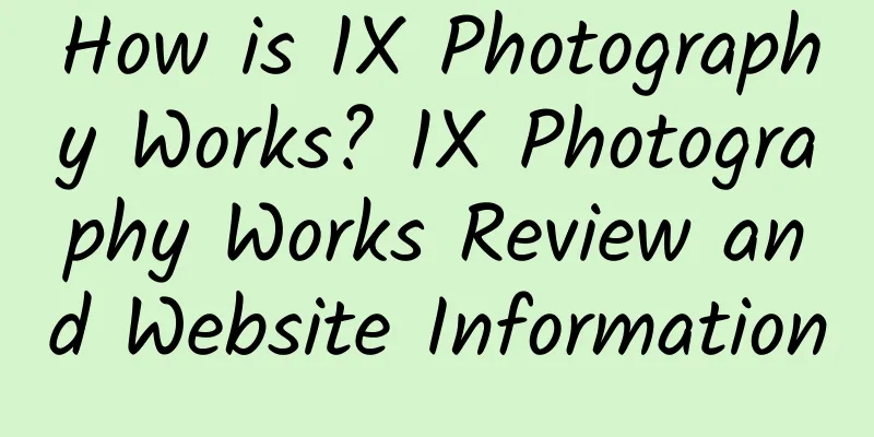 How is 1X Photography Works? 1X Photography Works Review and Website Information