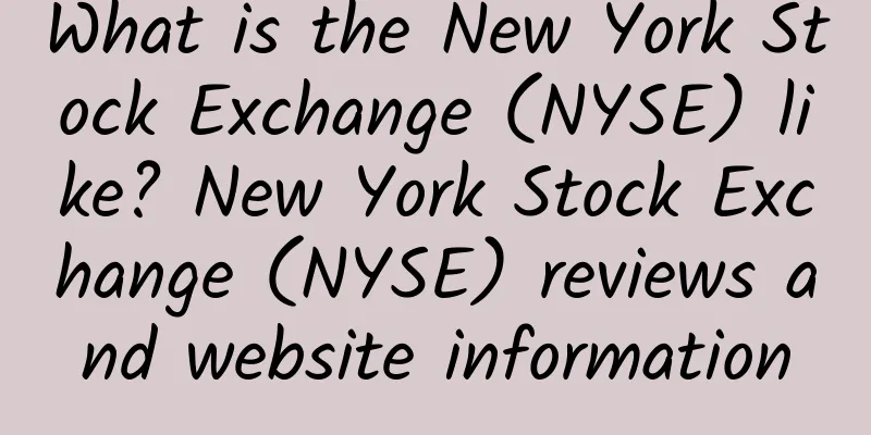 What is the New York Stock Exchange (NYSE) like? New York Stock Exchange (NYSE) reviews and website information