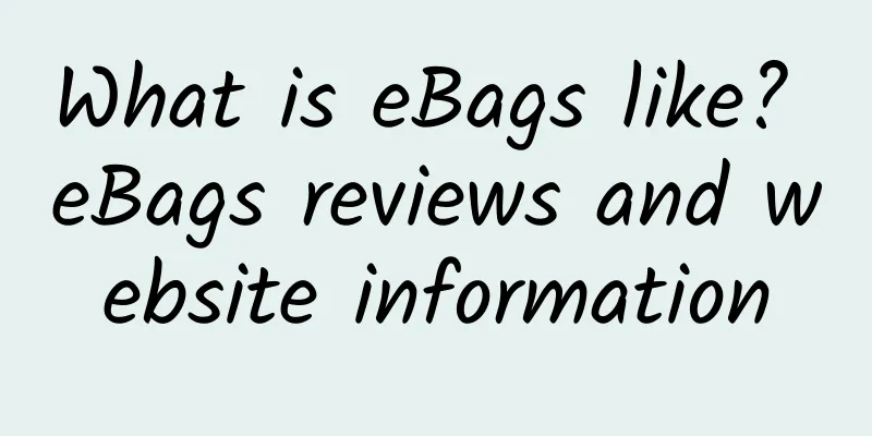 What is eBags like? eBags reviews and website information