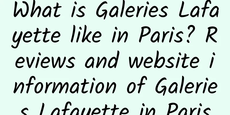 What is Galeries Lafayette like in Paris? Reviews and website information of Galeries Lafayette in Paris