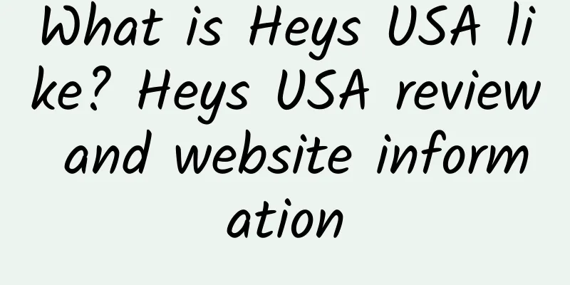 What is Heys USA like? Heys USA review and website information