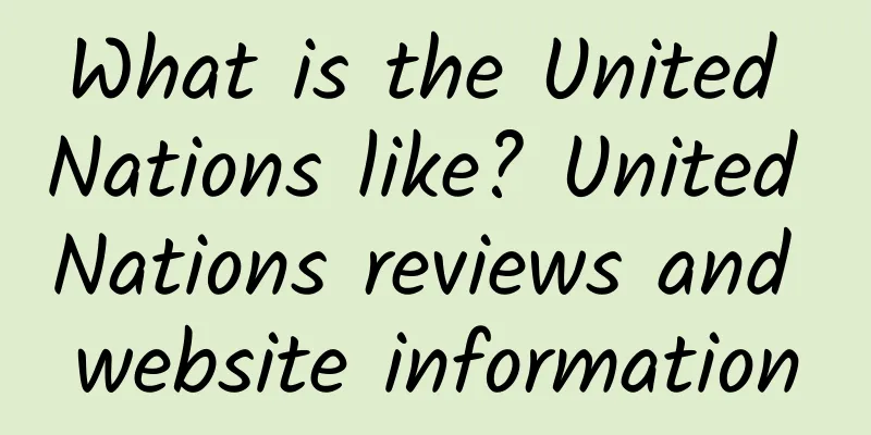 What is the United Nations like? United Nations reviews and website information