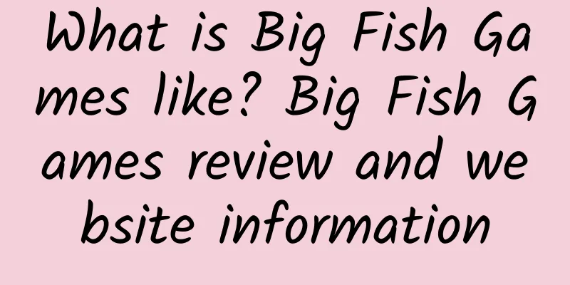 What is Big Fish Games like? Big Fish Games review and website information