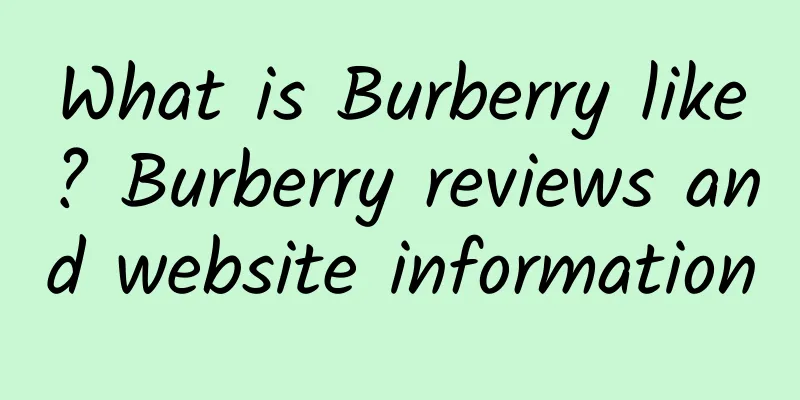What is Burberry like? Burberry reviews and website information