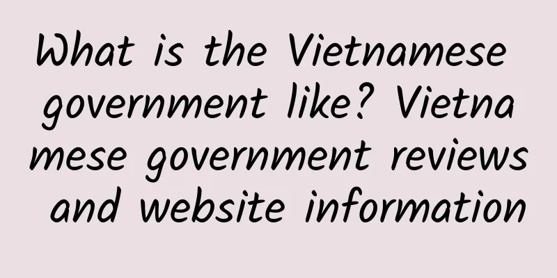 What is the Vietnamese government like? Vietnamese government reviews and website information