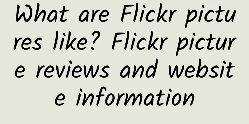 What are Flickr pictures like? Flickr picture reviews and website information