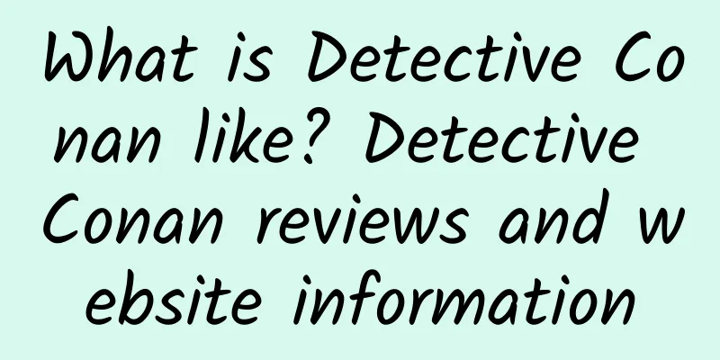 What is Detective Conan like? Detective Conan reviews and website information