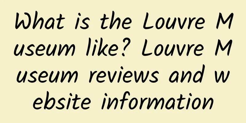 What is the Louvre Museum like? Louvre Museum reviews and website information