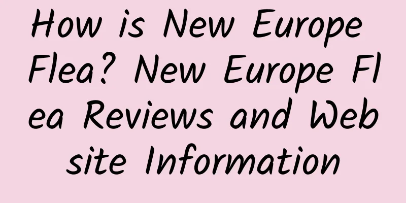 How is New Europe Flea? New Europe Flea Reviews and Website Information