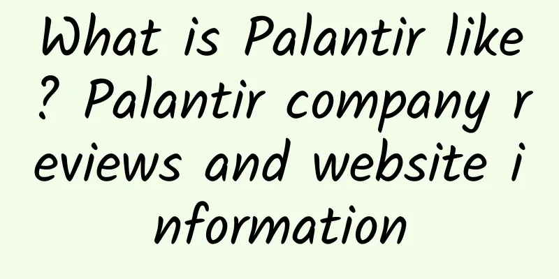 What is Palantir like? Palantir company reviews and website information