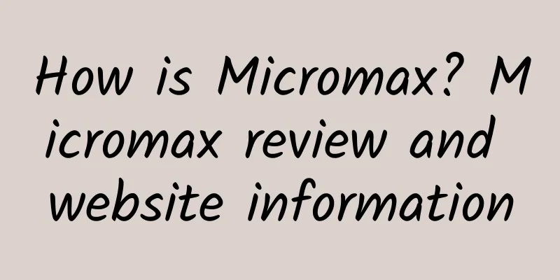 How is Micromax? Micromax review and website information