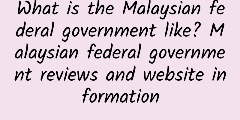 What is the Malaysian federal government like? Malaysian federal government reviews and website information