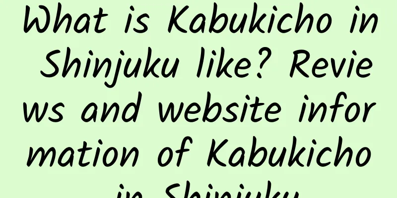 What is Kabukicho in Shinjuku like? Reviews and website information of Kabukicho in Shinjuku