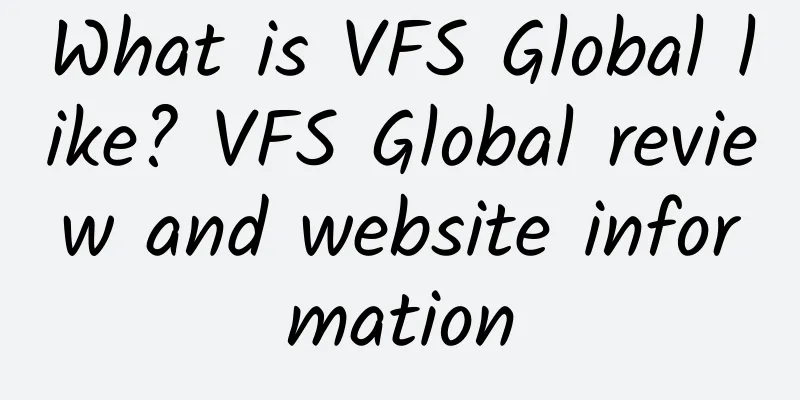 What is VFS Global like? VFS Global review and website information
