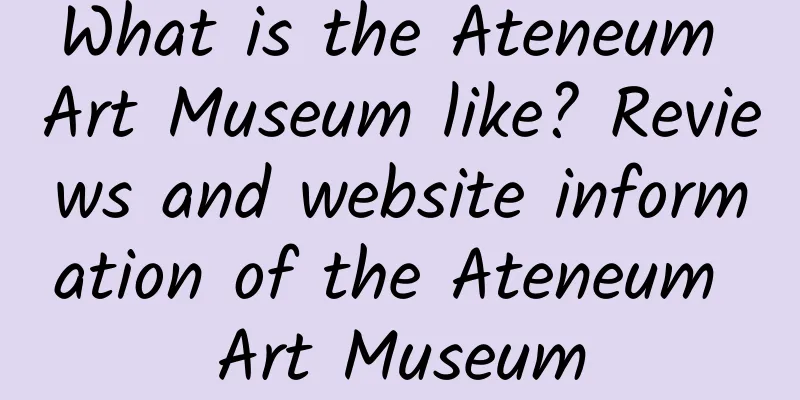 What is the Ateneum Art Museum like? Reviews and website information of the Ateneum Art Museum