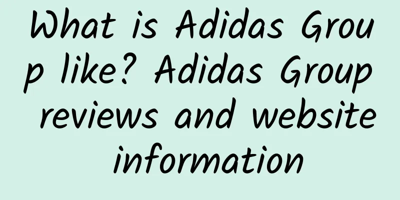 What is Adidas Group like? Adidas Group reviews and website information