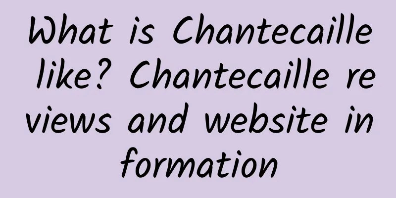 What is Chantecaille like? Chantecaille reviews and website information