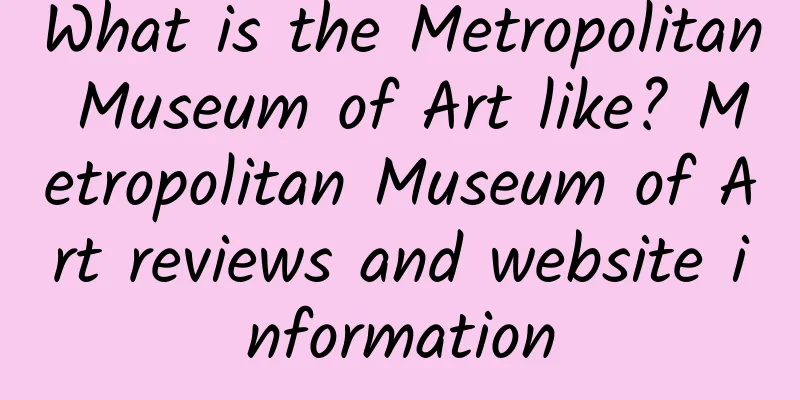 What is the Metropolitan Museum of Art like? Metropolitan Museum of Art reviews and website information
