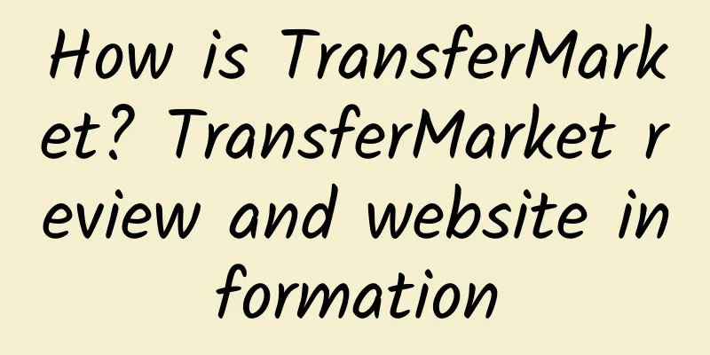 How is TransferMarket? TransferMarket review and website information