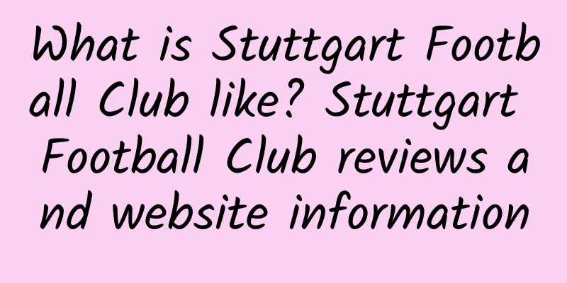 What is Stuttgart Football Club like? Stuttgart Football Club reviews and website information