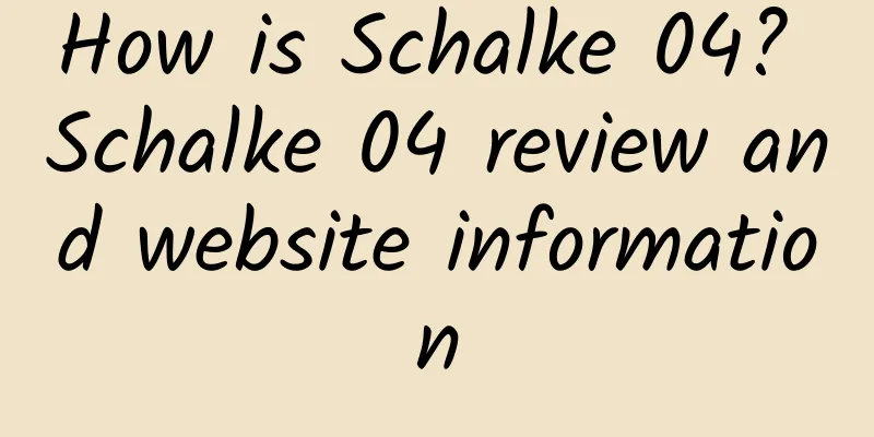 How is Schalke 04? Schalke 04 review and website information