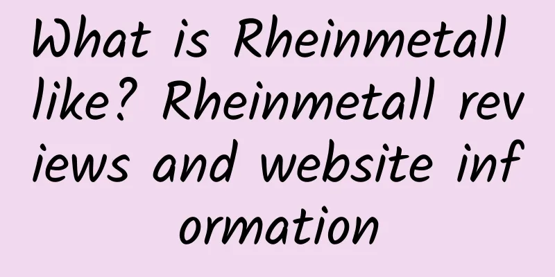 What is Rheinmetall like? Rheinmetall reviews and website information