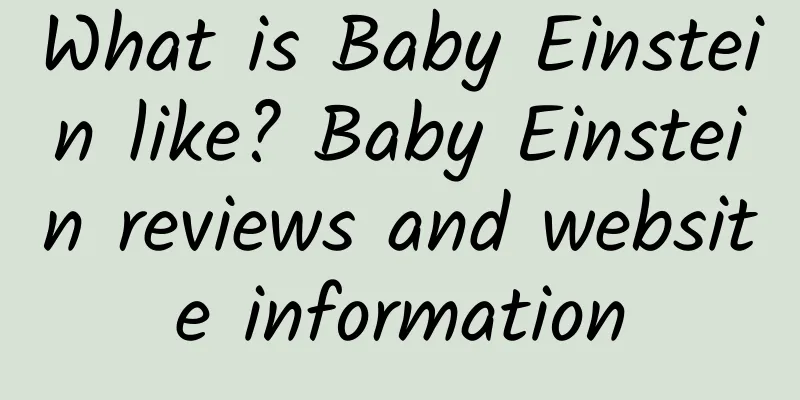 What is Baby Einstein like? Baby Einstein reviews and website information