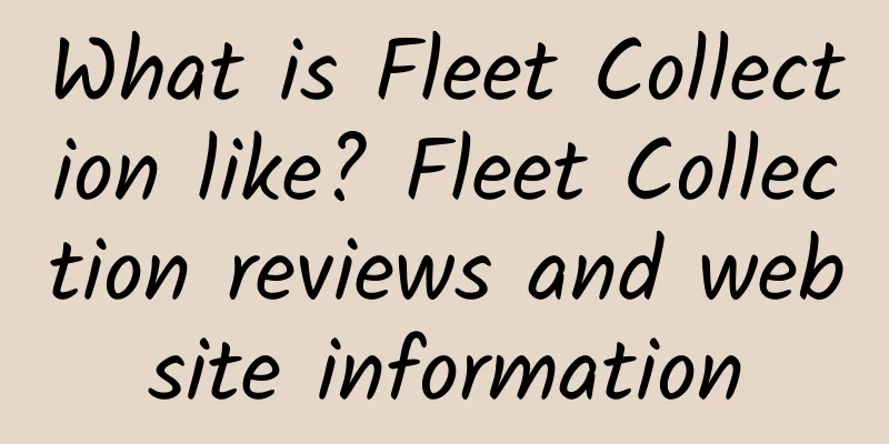 What is Fleet Collection like? Fleet Collection reviews and website information