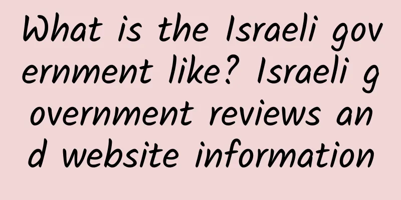 What is the Israeli government like? Israeli government reviews and website information