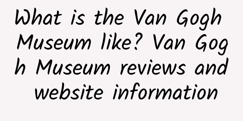 What is the Van Gogh Museum like? Van Gogh Museum reviews and website information