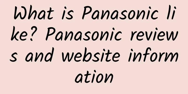 What is Panasonic like? Panasonic reviews and website information